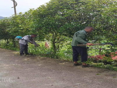 棋坪镇九峰村：道路除草解民忧