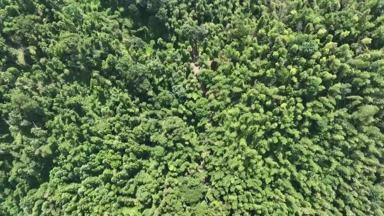 客家山歌传承人赖美秀：传承非遗文化 让客家山歌唱响新时代