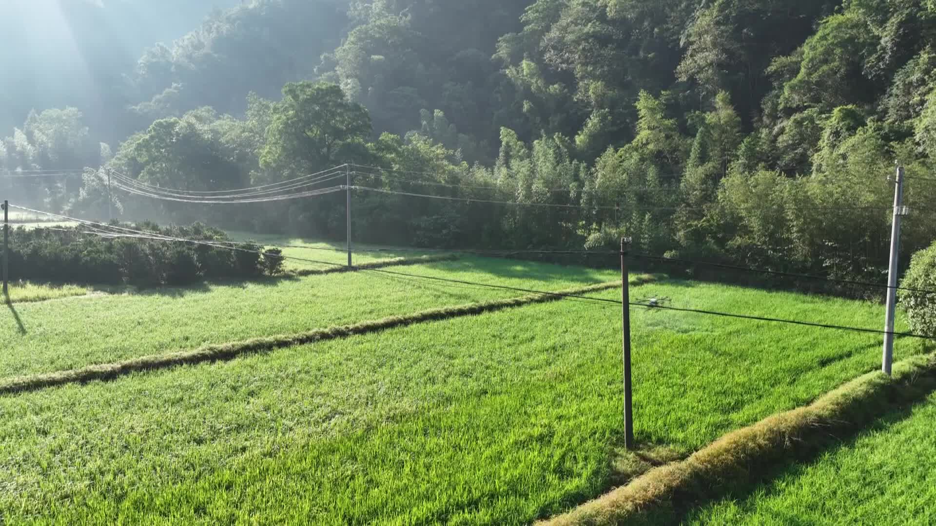 科技助力夏管 夯实丰收基础