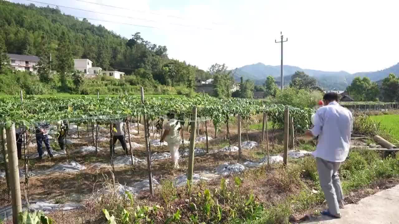 取经观摩会 共谋发展计